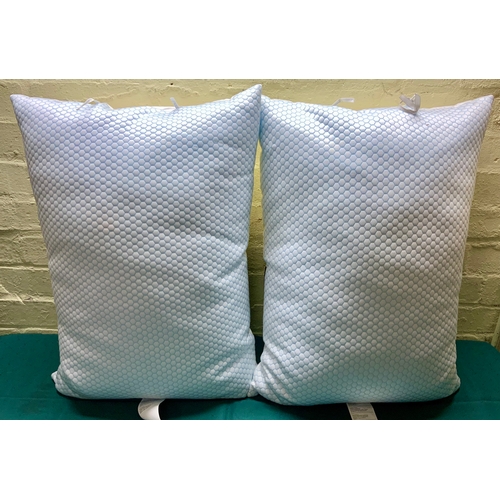 48 - SET OF 2 HOTEL GRAND REVERSIBLE COOLING BED PILLOWS