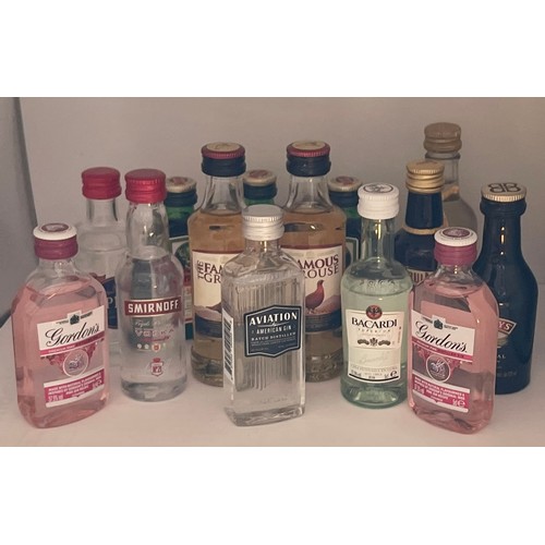 46 - 14x Bottle of Miniature Spirits incl Famous Grous x2, Gins x4, Jagermeister x3, Smirnoff vodka, Baca... 