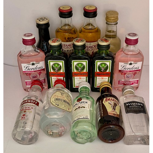 46 - 14x Bottle of Miniature Spirits incl Famous Grous x2, Gins x4, Jagermeister x3, Smirnoff vodka, Baca... 