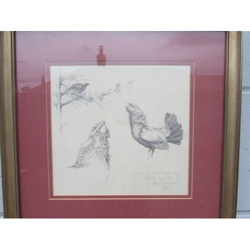 9063 - GEOFFREY DASHWOOD (b.1947) A framed and glazed pencil drawing of Capercaillie studies. Pencil signed... 