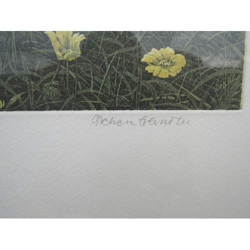 9107 - GRAHAM EVERNDEN (b.1947) A framed and glazed limited edition etching with aquatint, 'Tea Party Field... 