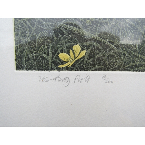 9107 - GRAHAM EVERNDEN (b.1947) A framed and glazed limited edition etching with aquatint, 'Tea Party Field... 