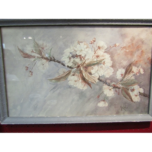 33 - MARGARET WILLIAMS: A pair of mid 20th Century floral watercolours, 