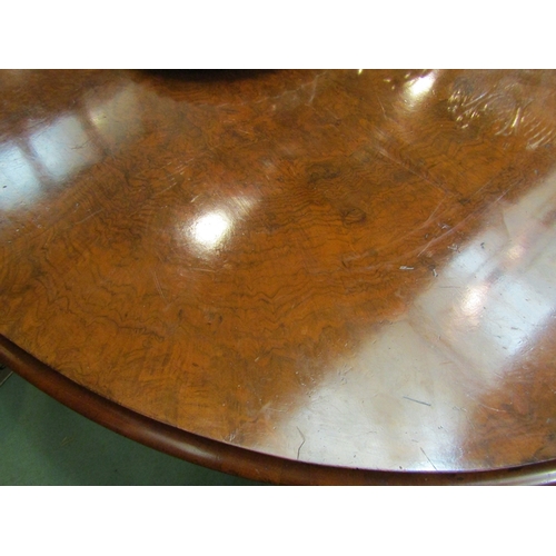 178 - A Circa 1860 burr walnut quarter veneer oval tilt top table on a turned and carved base with scroll ... 