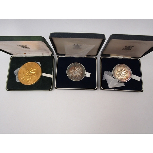 1331 - Two white metal Prince Charles 1969 investiture medals and one larger base metal medal (3)