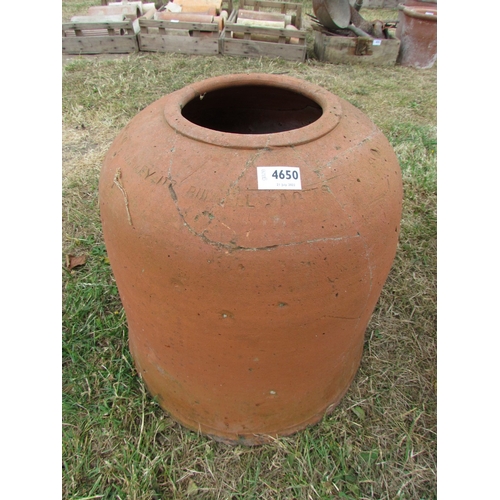 4650 - A terracotta rhubarb forcer