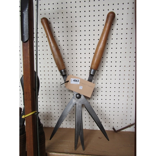 4063 - A set of four blade topiary shears