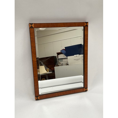 8009 - A Regency style satinwood and ebony framed bevelled wall mirror, 46cm x 36cm