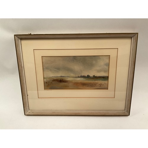 8046 - IAN ARMOUR-CHELU (1928-2000): A watercolour of East Anglian Marsh, 15cm x 29.5cm, framed and glazed