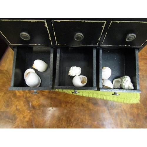 102 - A wooden bank of nine drawers containing assorted shells, 18cm tall, 23cm wide, 10cm deep