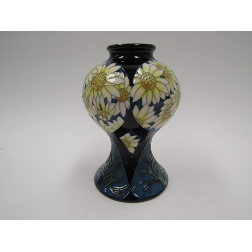 8047 - A Moorcroft Spring Daisies pattern vase, designed by Paul Hilditch, 27/50, 16cm tall, boxed