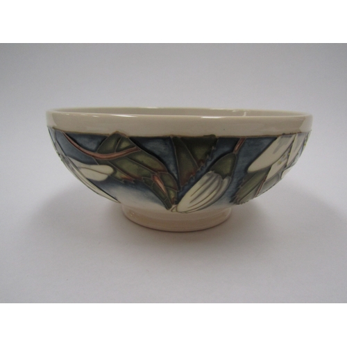 8062 - A Moorcroft Juneberry pattern bowl, designed by Anji Davenport, 3.11.01, 16cm diameter, boxed