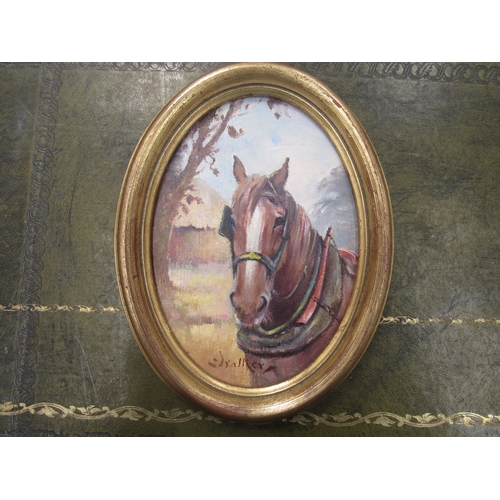 8270 - STEPHEN WALKER (1900-2004) - An oval gilt framed oil on board - portrait of a Bay horse with collar ... 