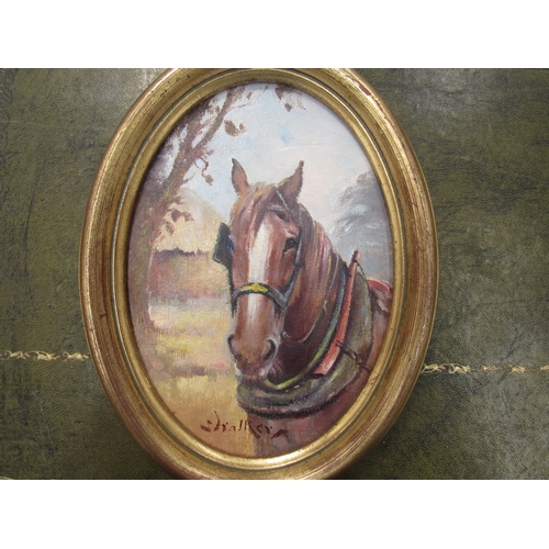 8270 - STEPHEN WALKER (1900-2004) - An oval gilt framed oil on board - portrait of a Bay horse with collar ... 