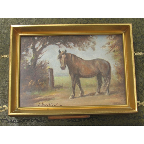 8271 - STEPHEN WALKER (1900-2004) - A brass gilt easel framed miniature oil on board - Bay horse standing i... 