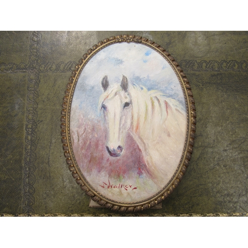 8273 - STEPHEN WALKER (1900-2004) - An oval oil on board - portrait of a white horse, easel frame. 17cm x 1... 