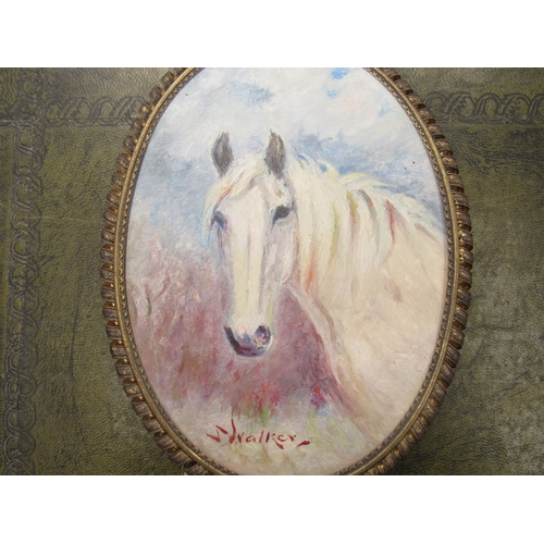 8273 - STEPHEN WALKER (1900-2004) - An oval oil on board - portrait of a white horse, easel frame. 17cm x 1... 