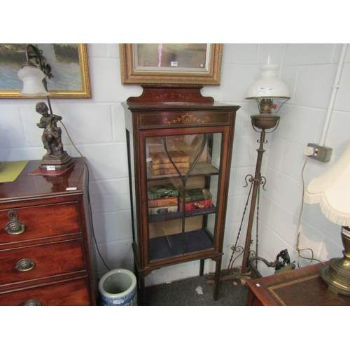 1009 - An Edwardian astragal glazed single door display cabinet and a similar cabinet, a/f (2)