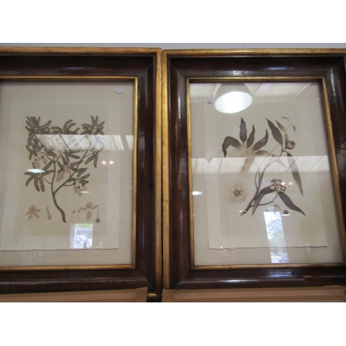 1386 - A collection of framed botanical prints and a monotoned photographic print (5)