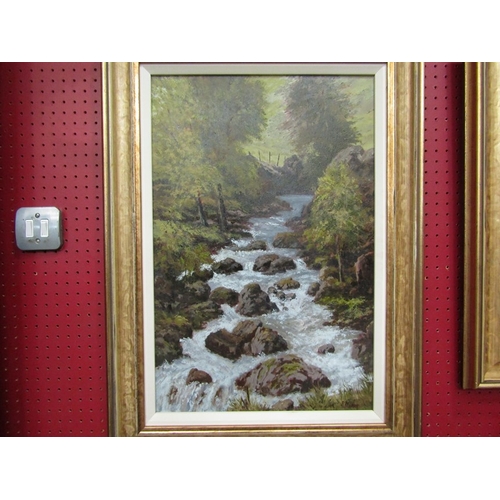 29 - RICHARD MOTLEY (XX-XXI): 'Easedale Beck', an oil on board depicting rapids, 60cm x 38cm, gilt brushe... 