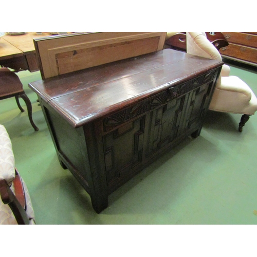 169 - A 17th Century oak coffer the hinged lid over a three panel geometric moulded front with carved grap... 