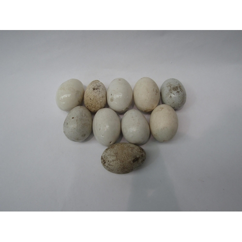 274 - Ten china eggs