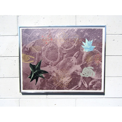 1003 - MICHAEL MCKINNON (b.1940) A framed and glazed limited edition screenprint titled 'Phyllotaxis'. Sign... 