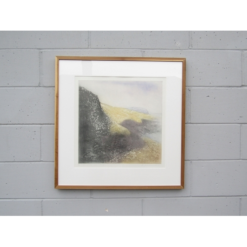 1393 - A. WILKINSON (XX/XXI): A framed and glazed etching with aquatint, 'Clamshell Cove, Staffa'. Pencil s... 