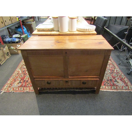 1479 - A 19th Century stripped pine mule chest with front decoration 72cm x 94cm x 43cm