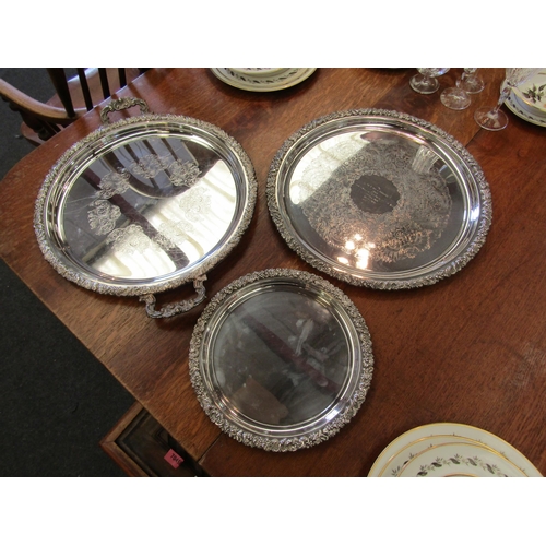 1137 - Three Hepworth Reproduction old Sheffield plate trays all with berry and leaf border, one inscribed,... 