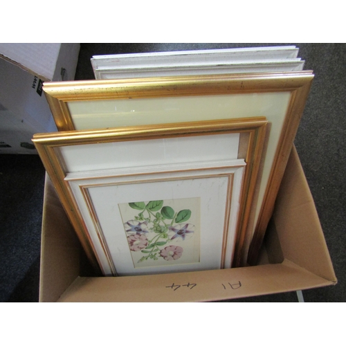 1183 - A selection of Botanical prints, landscapes etc.    (E) £10-15