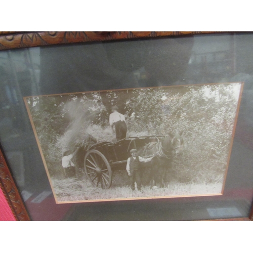 1456 - A framed bygone photograph of horse and cart and an oil on board depicting cockerel and house   (GRO... 