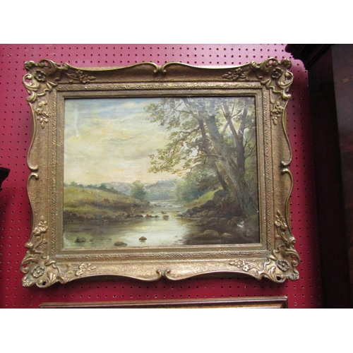 4047 - An oil on canvas depicting a river scene with figure fishing, gilt frame, canvas a/f, 35cm x 45cm