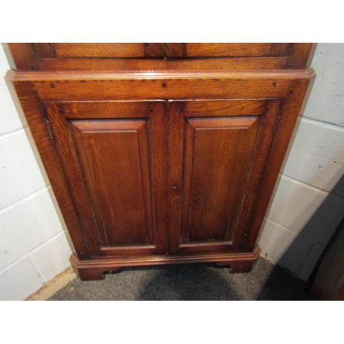 1024 - A modern oak glazed corner cabinet with bottom field panel doors. 199cm high x 84cm wide