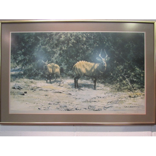 1027 - A David Shepherd print of Bongo Antelopes, 496/850, signed in pencil, framed and glazed, 44cm x 76cm