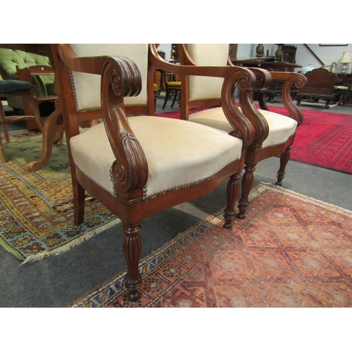 1547 - A pair of Irish mahogany chairs with shell detail, scroll arms and reeded legs   (R) £450