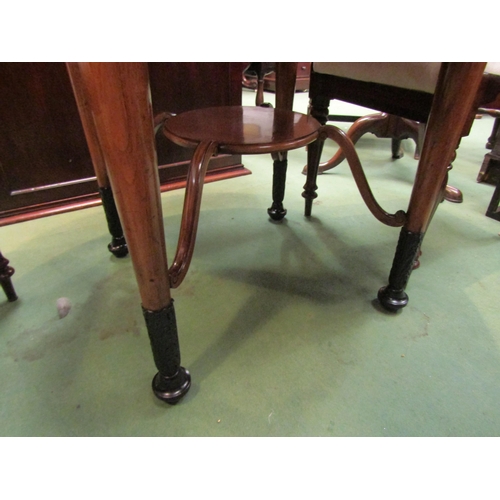 4054 - A satin walnut Biedermeier circular top table over turned and tapering legs on carved ebonised feet ... 