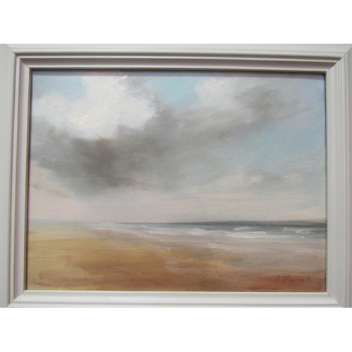 4029 - MARTIN KINNER (B.1969): A framed oil on canvas, shore scene with rain cloud. Signed bottom right. Im... 