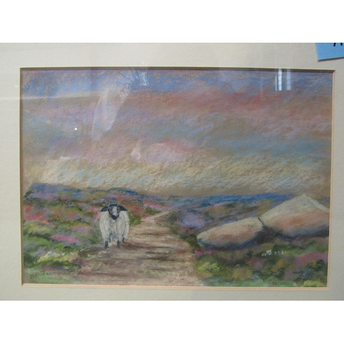 4103 - B.P. TURNER: A pastel of sheep 