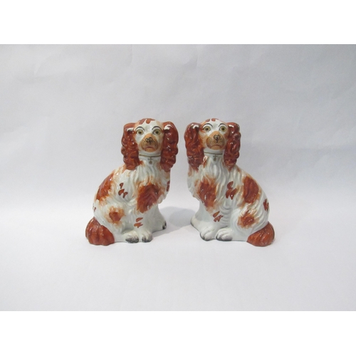 4216 - A pair of red and white Staffordshire dogs in the form of King Charles spaniels, circa 1860, 18.5cm ... 