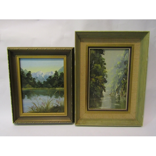 4370 - Two oils on board of New Zealand landscapes, Whanganui River (North Island) by Colleen Hamilton, sig... 