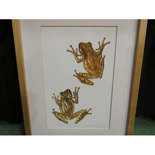 4403 - A limited edition print of two frogs, signed lower right corner 6/500, images size 29xm x 18.5cm