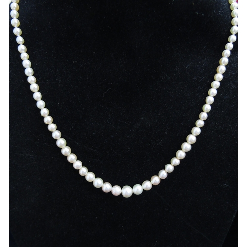 6010 - A single strand of graduated pearls with a 9ct gold clasp