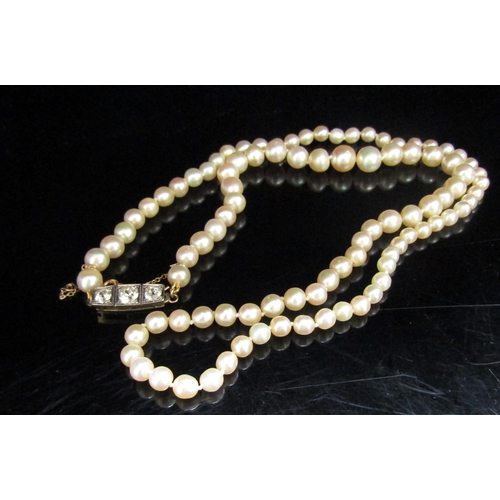 6179 - A single strand of cultured pearls, with unmarked yellow clasp set with three diamonds, 0.70ct total... 