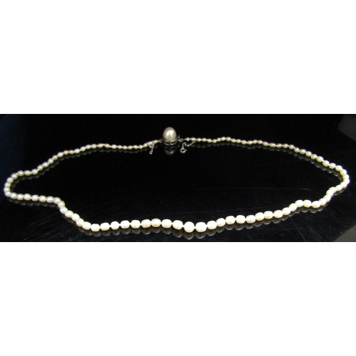 6180 - A single strand of graduated pearls with a pearl set white metal clasp, unmarked, 45cm long