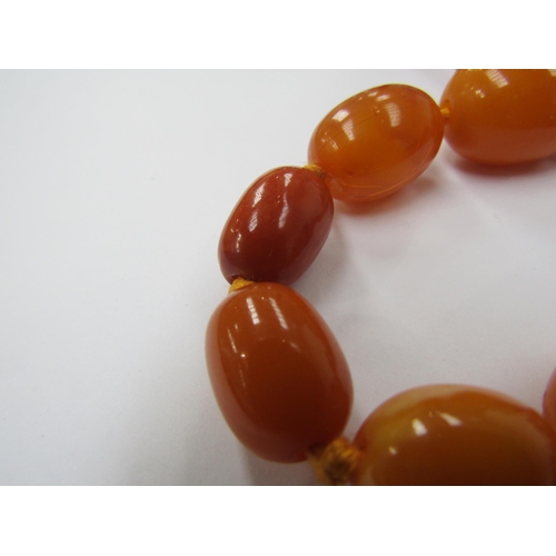 6221 - An amber bead necklace, graduated beads, 22mm x 15mm largest bead, 88cm long, 47.3g and a pair of am... 