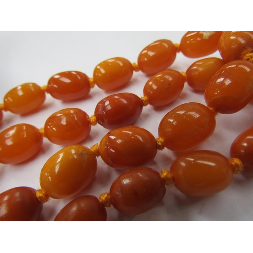 6221 - An amber bead necklace, graduated beads, 22mm x 15mm largest bead, 88cm long, 47.3g and a pair of am... 