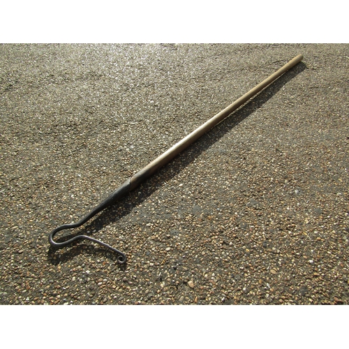 8030 - A shepherds' crook