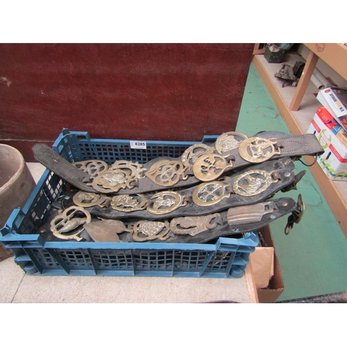 8285 - Ten leather straps of horse brasses including Tower Bridge, barrel etc   (C)