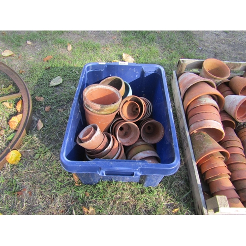 8429 - A tray of terracotta pots